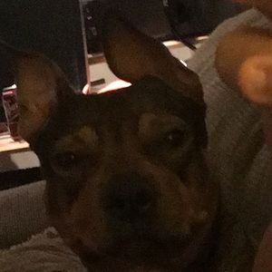 Meet your Posher, Emma